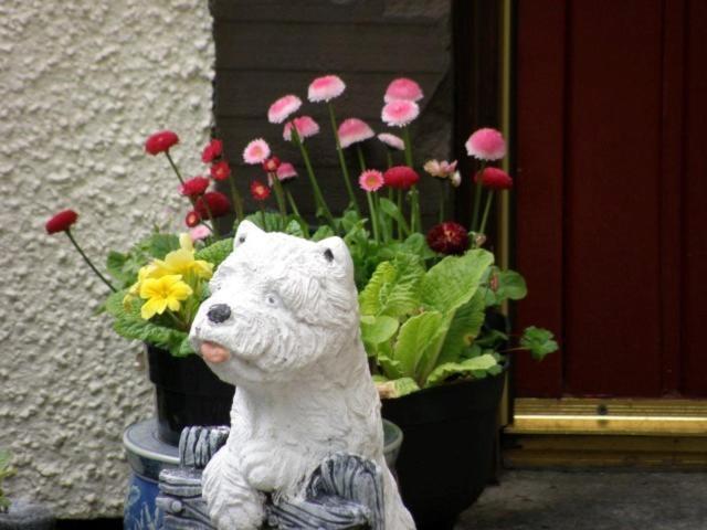 Kettle House B&B Fort Augustus Exterior photo